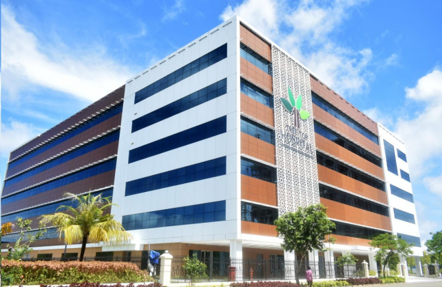 Statement regarding fraudulent emails on behalf of Tree Top Hospital