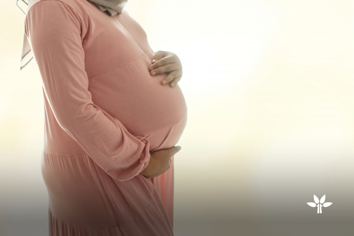 Tree Top Hospital Commences Nurture Program