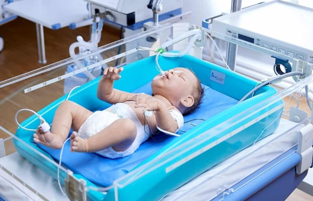 Therapeutic Hypothermia at Treetop Hospital