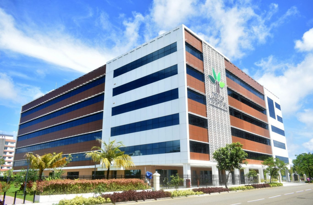 Statement regarding fraudulent emails on behalf of Tree Top Hospital