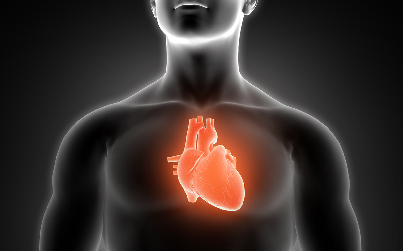 Heart Screening Packages